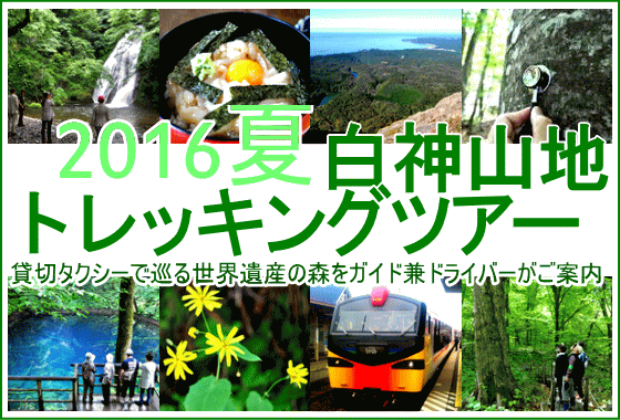 2016夏の世界遺産白神山地トレッキングツアー