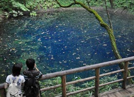 ゴールデンウィークはカップルにお薦めの十二湖青池