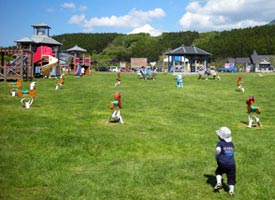 お子様連れでアオーネ白神十二湖へ