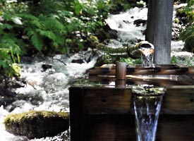十二湖庵では湧き水で淹れた抹茶をいただける