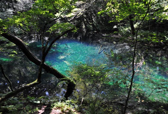 十二湖の沸壺の池