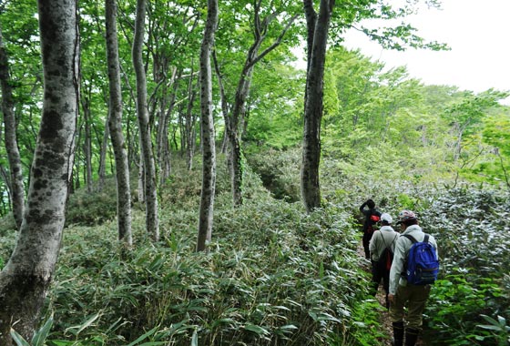 二ツ森の軽登山