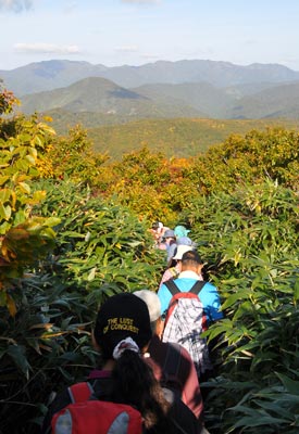 二ツ森登山道の下り