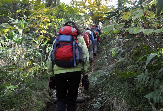 白神山地の軽登山の装備