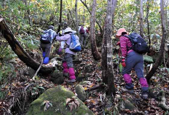 藤里駒ケ岳の軽登山