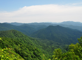 藤里駒ケ岳のグリーンシーズン