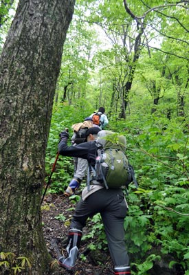 藤里駒ケ岳からの眺め