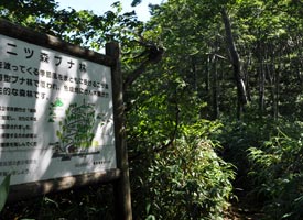 二ツ森登山道