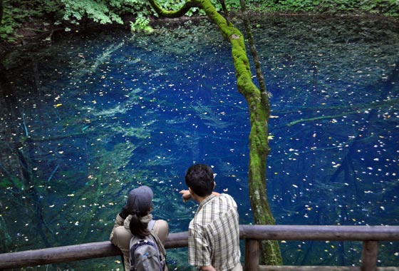 十二湖の青池