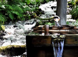十二湖の湧き水