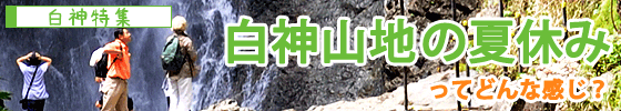 白神山地の夏休みってどんな感じ?