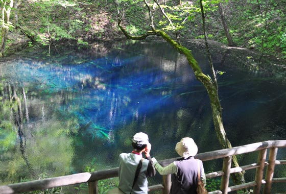 十二湖の青池