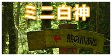 ������ϡ֥ߥ�����פ�ˬ���ȥ�å��󥰥ĥ���