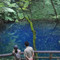 世界遺産白神山地「十二湖」