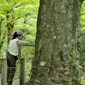 世界遺産白神山地「留山」