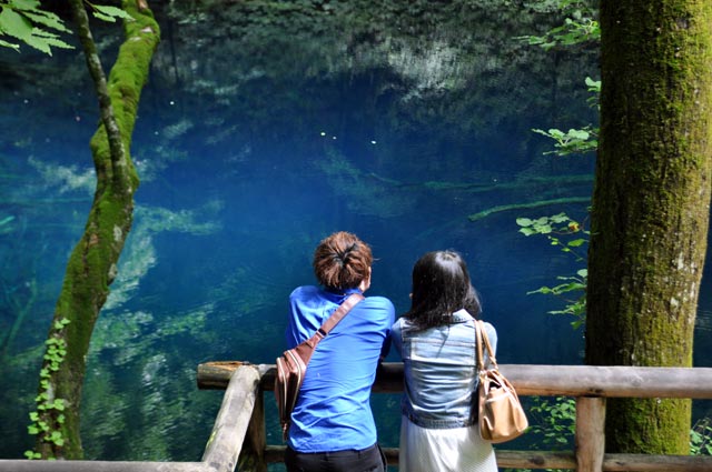 白神山地「十二湖」の青池